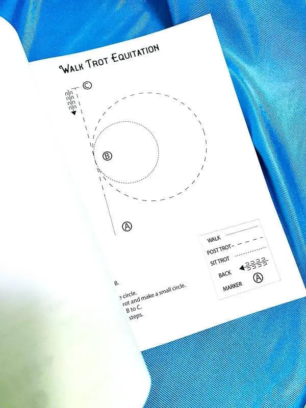 Beginner Rider Lesson Plan Horse