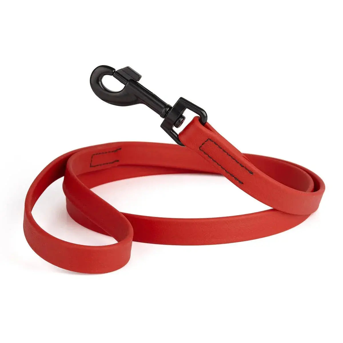 Biothane Waterproof Leash Dog