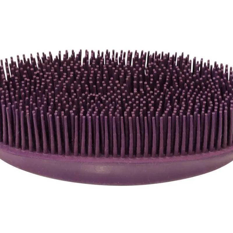 Oval Face Curry Grooming & Bathing Pet Brush Purple Horse