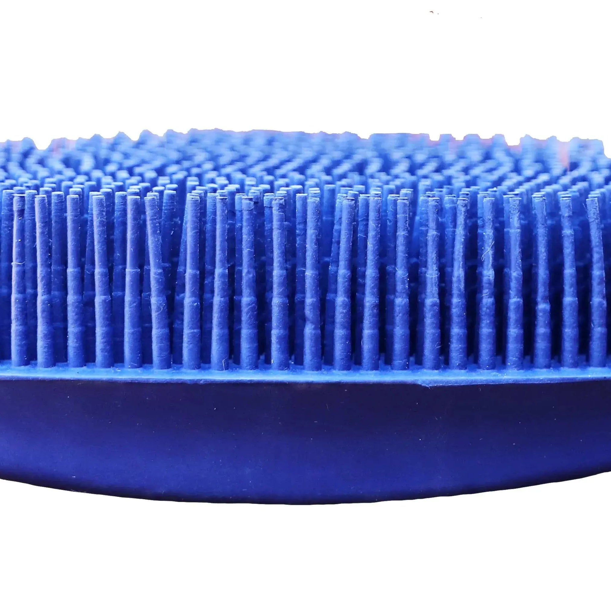 Oval Face Curry Grooming & Bathing Pet Brush Navy Blue Horse