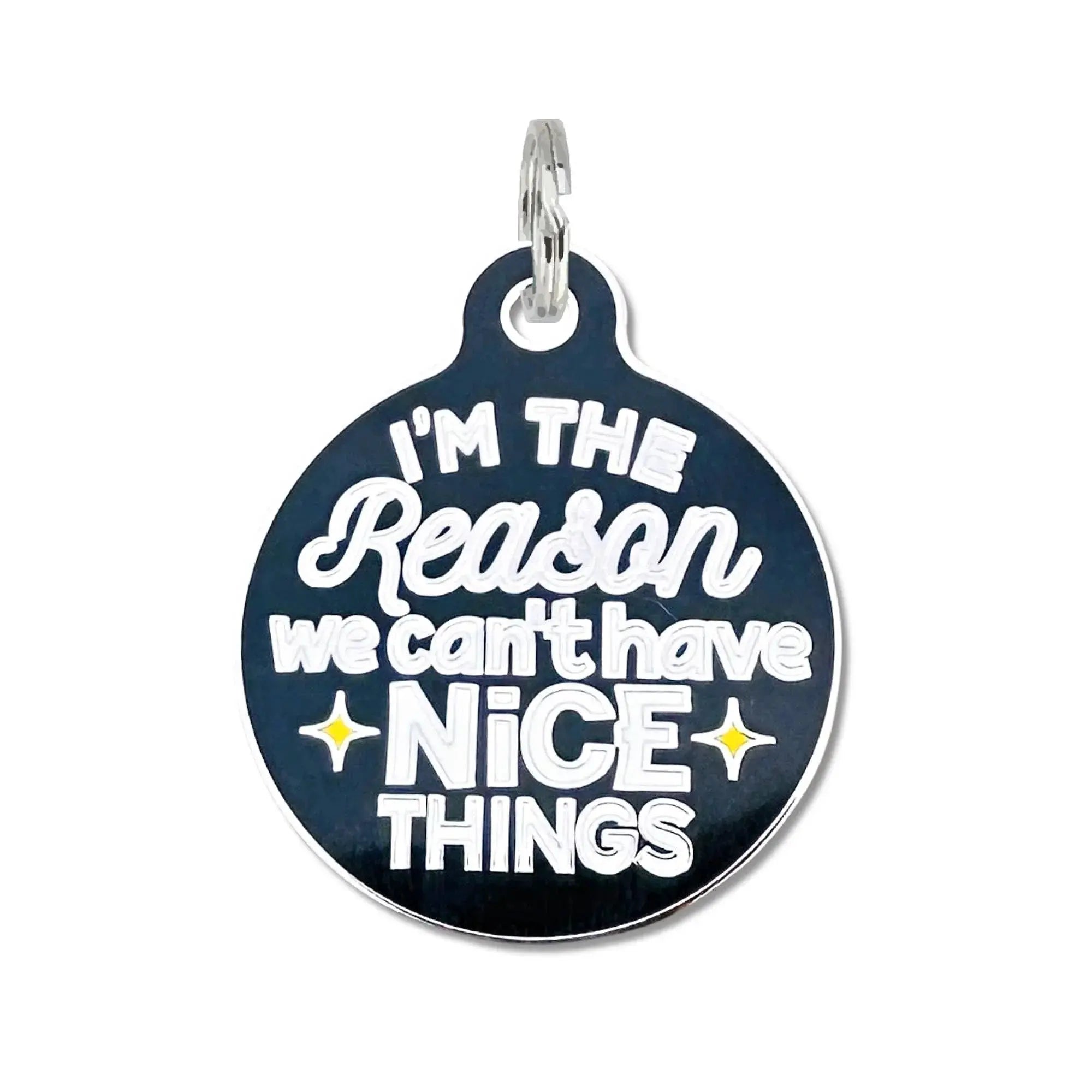 Can't Have Nice Things - Dog Collar Charm or Pet ID Tag Engraved QR Code Dog