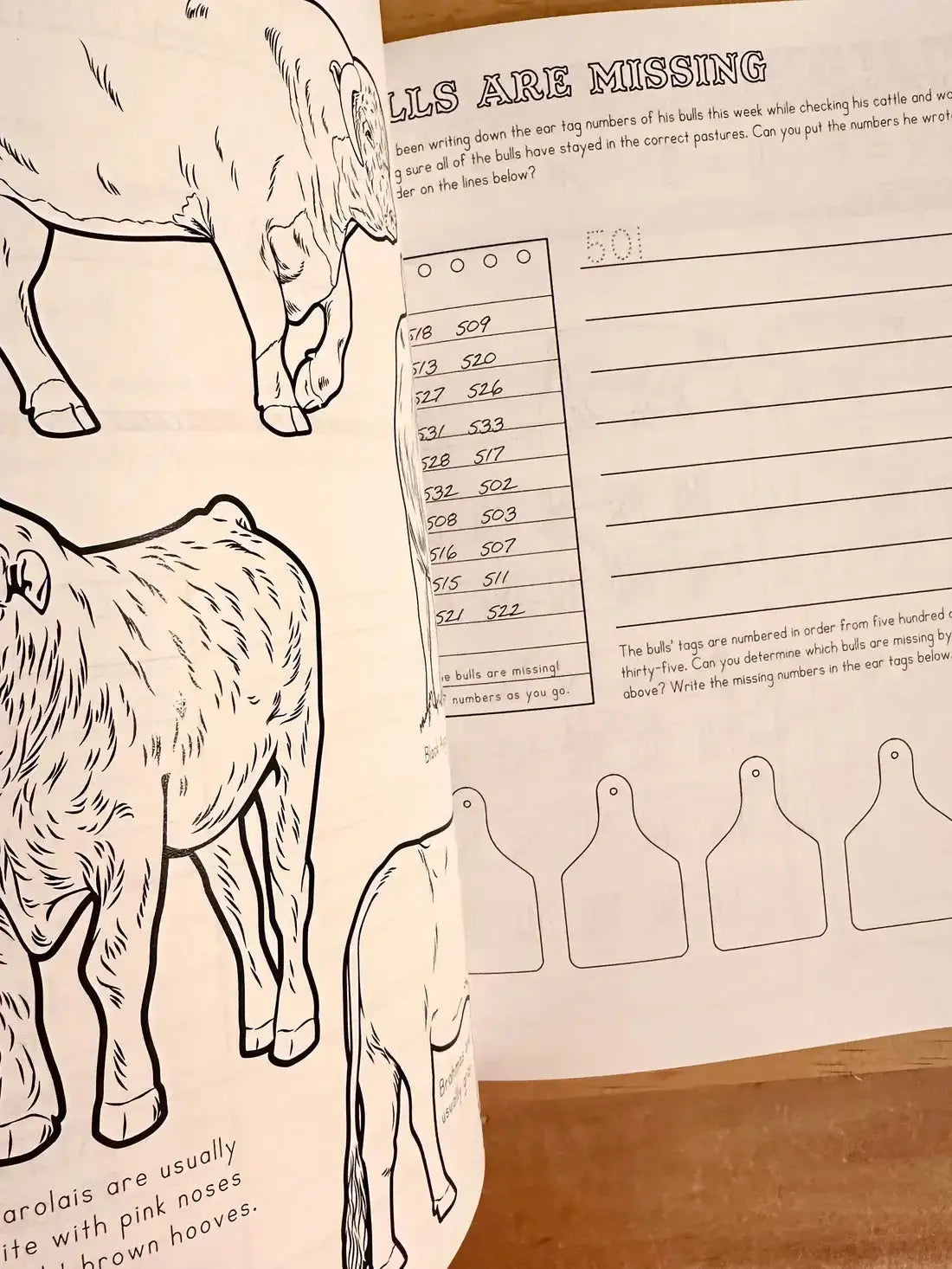 Ranch Math Grade 2: Money, Fractions, and Place Value inside