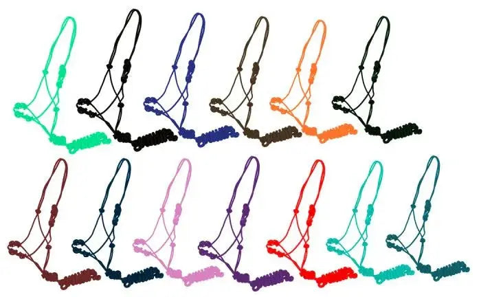 Training cowboy knot halter with four knot pressure points and lead all colors
