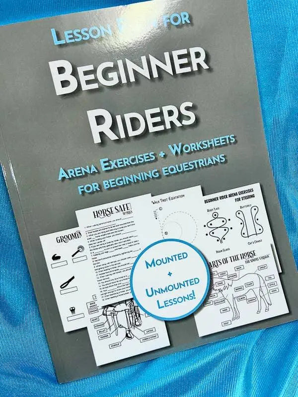 Beginner Rider Lesson Plan Horse
