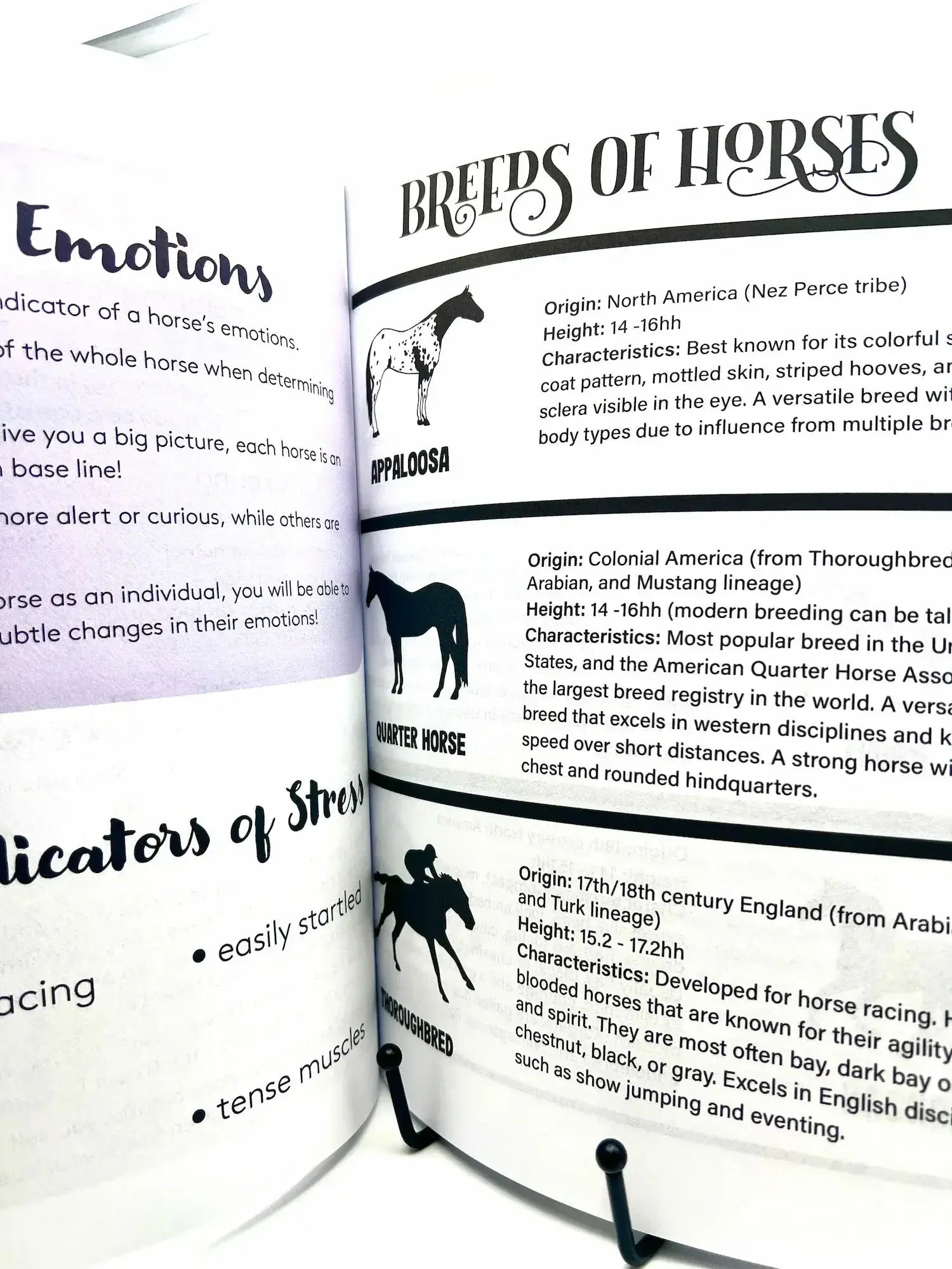 Horse Workbook Vol. II inside