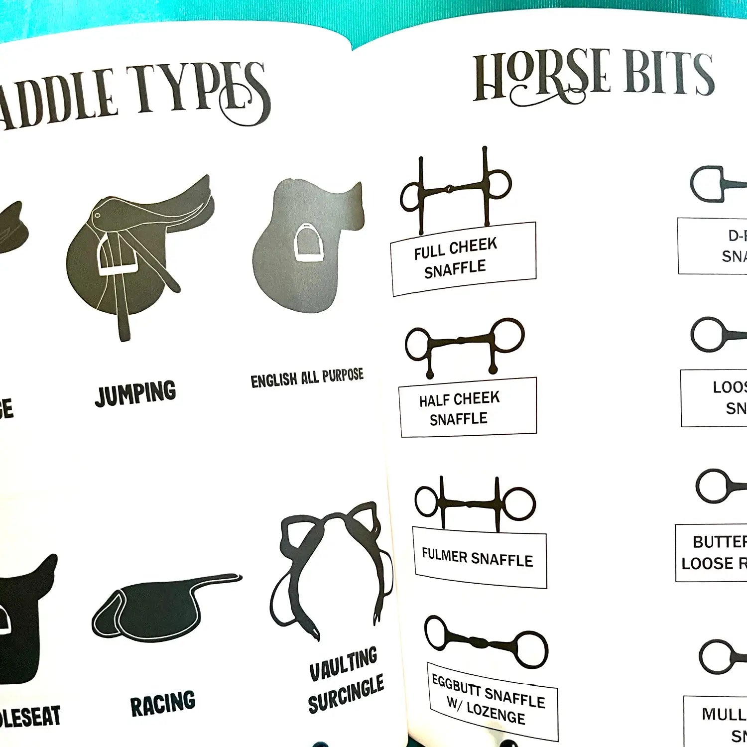 English Riding Lessons & Activities