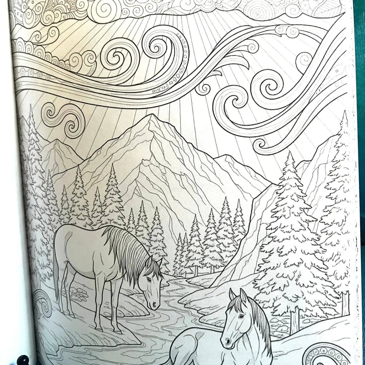 Winter Horses Coloring Book
