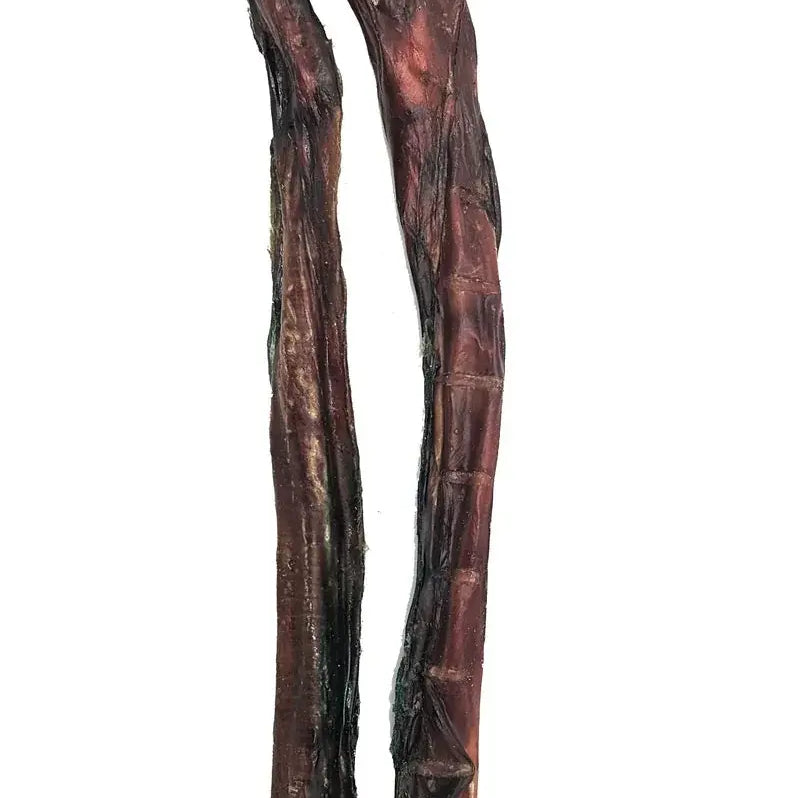 Two dark brown imperfect bully sticks, odor-free USA made 10-20 inches