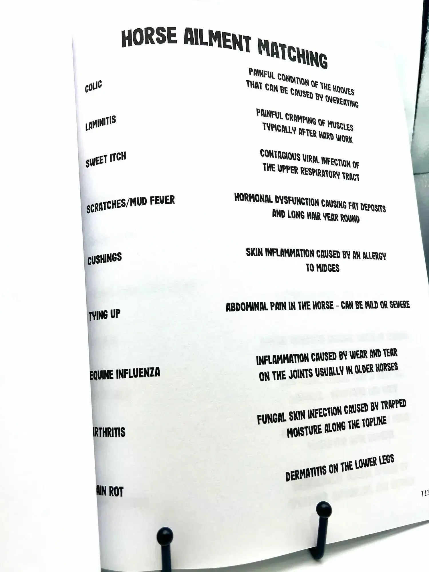 Horse Workbook Vol. II inside