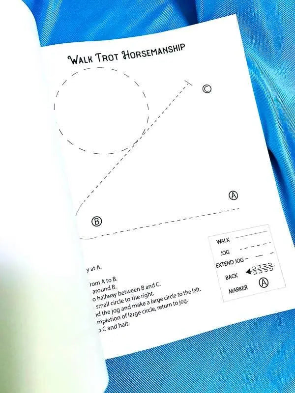 Beginner Rider Lesson Plan Horse