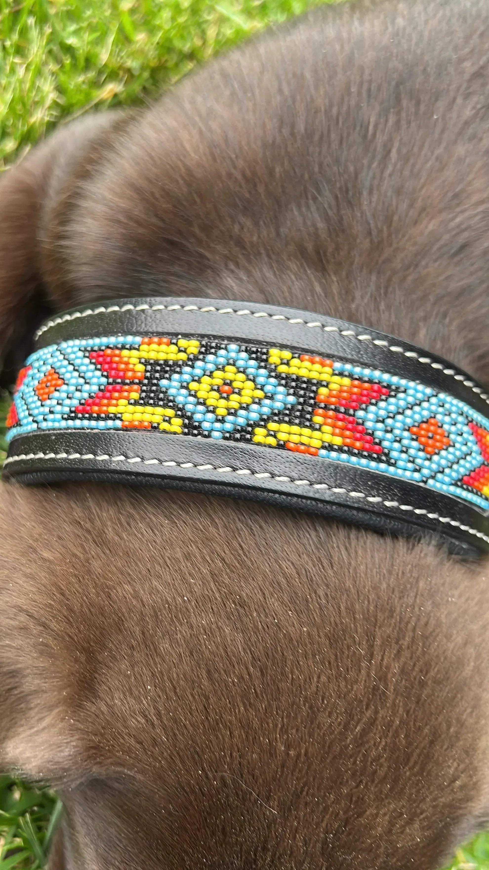 Dodger Trail Handcrafted Padded Beaded Dog Collar Dog