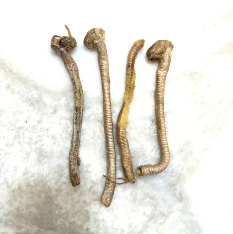 Duck Tracheas - Freeze-Dried