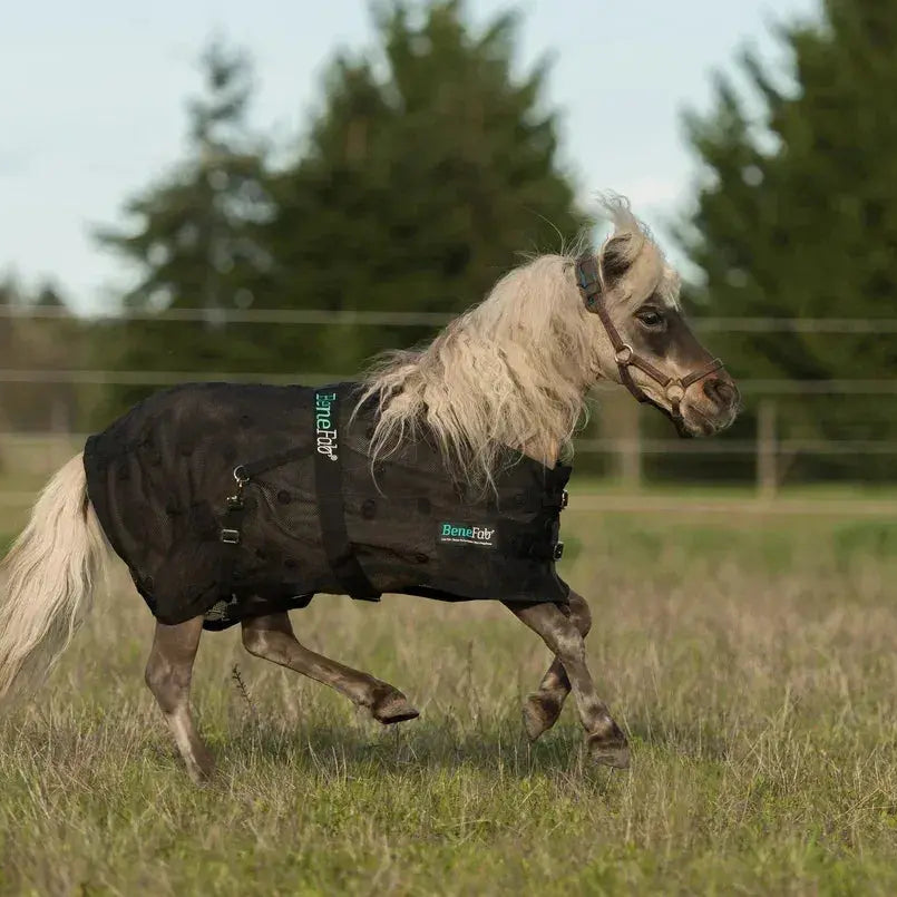 *NEW* Mini BeneFab Rejuvenate SmartScrim MINI Horse