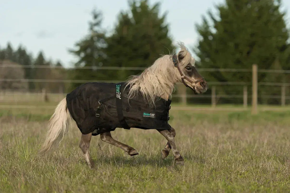 NEW Mini BeneFab Rejuvenate SmartScrim horse blanket on light pony