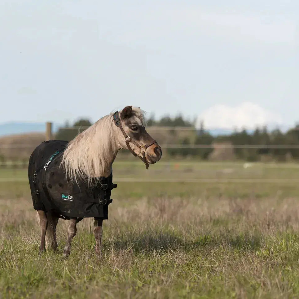 *NEW* Mini BeneFab Rejuvenate SmartScrim MINI Horse