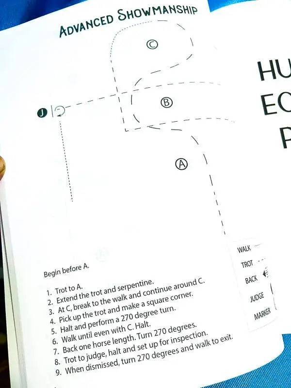 The Book of Horse Show Patterns Horse