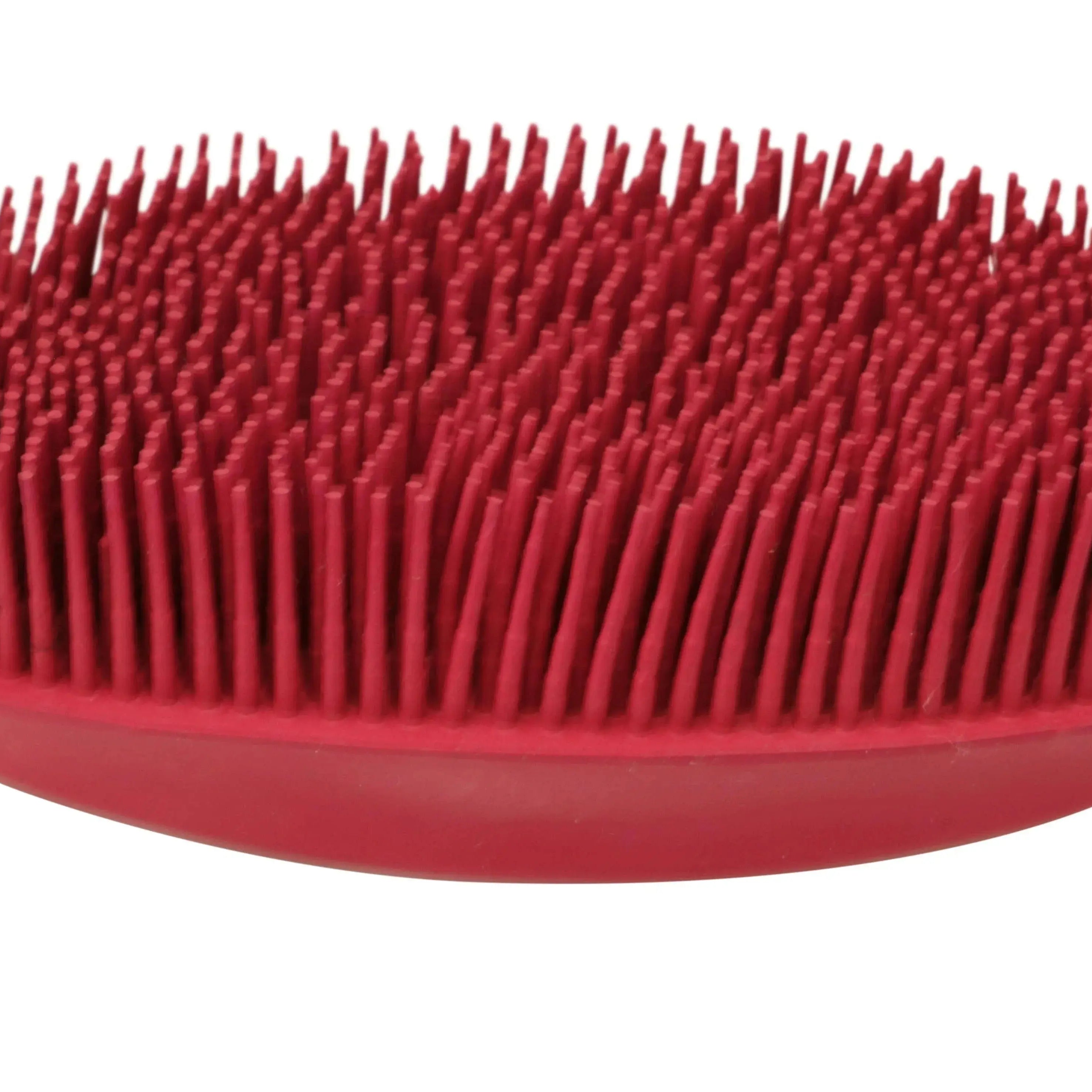 Oval Face Curry Grooming & Bathing Pet Brush Horse