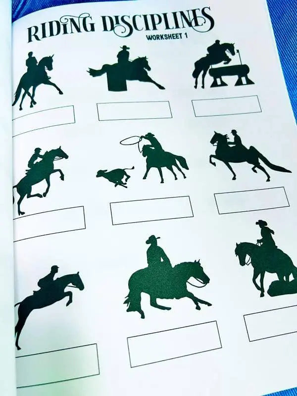 Intermediate Rider Lesson Plan