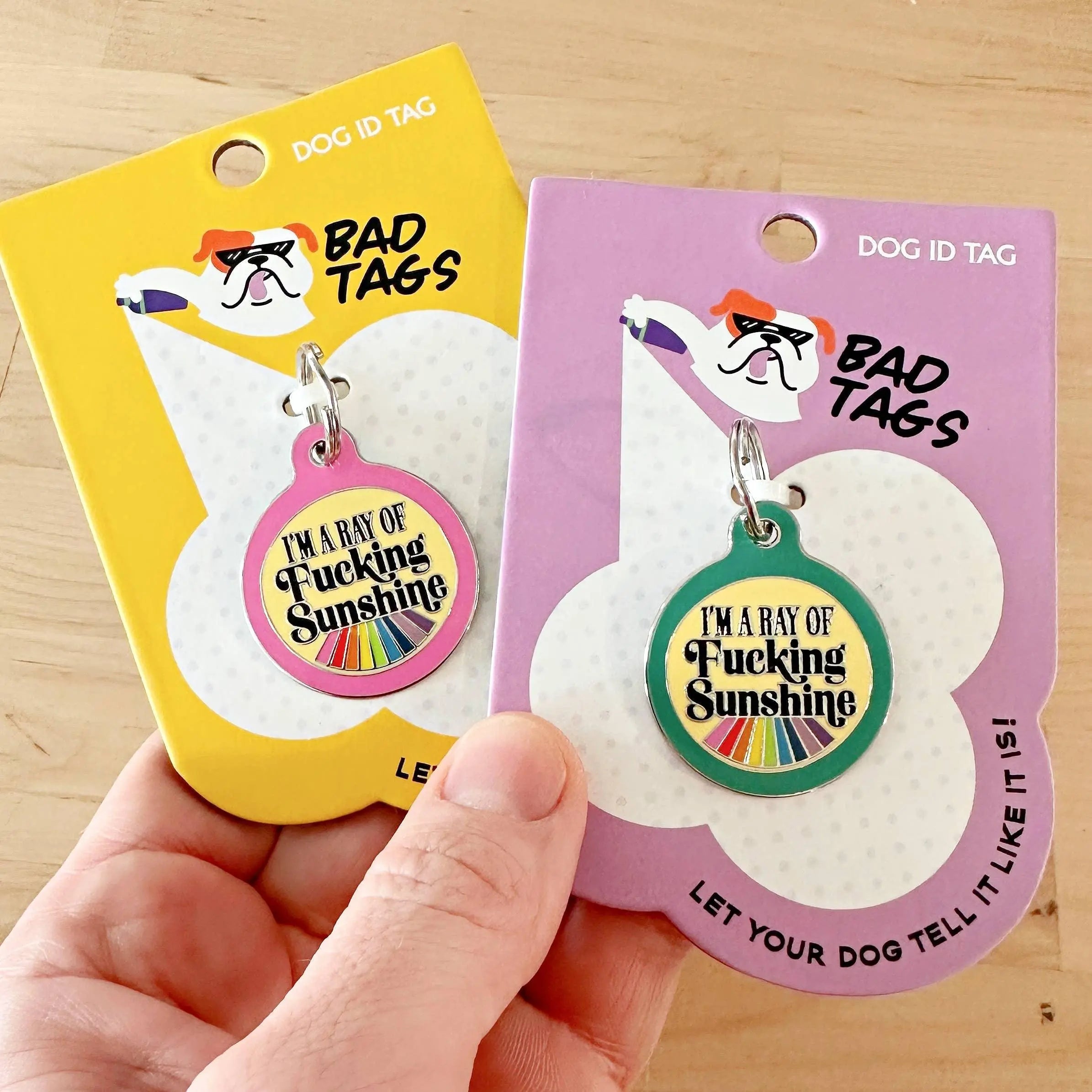 I'm a Ray of Fucking Sunshine - Dog ID Tag or Collar Charm Dog