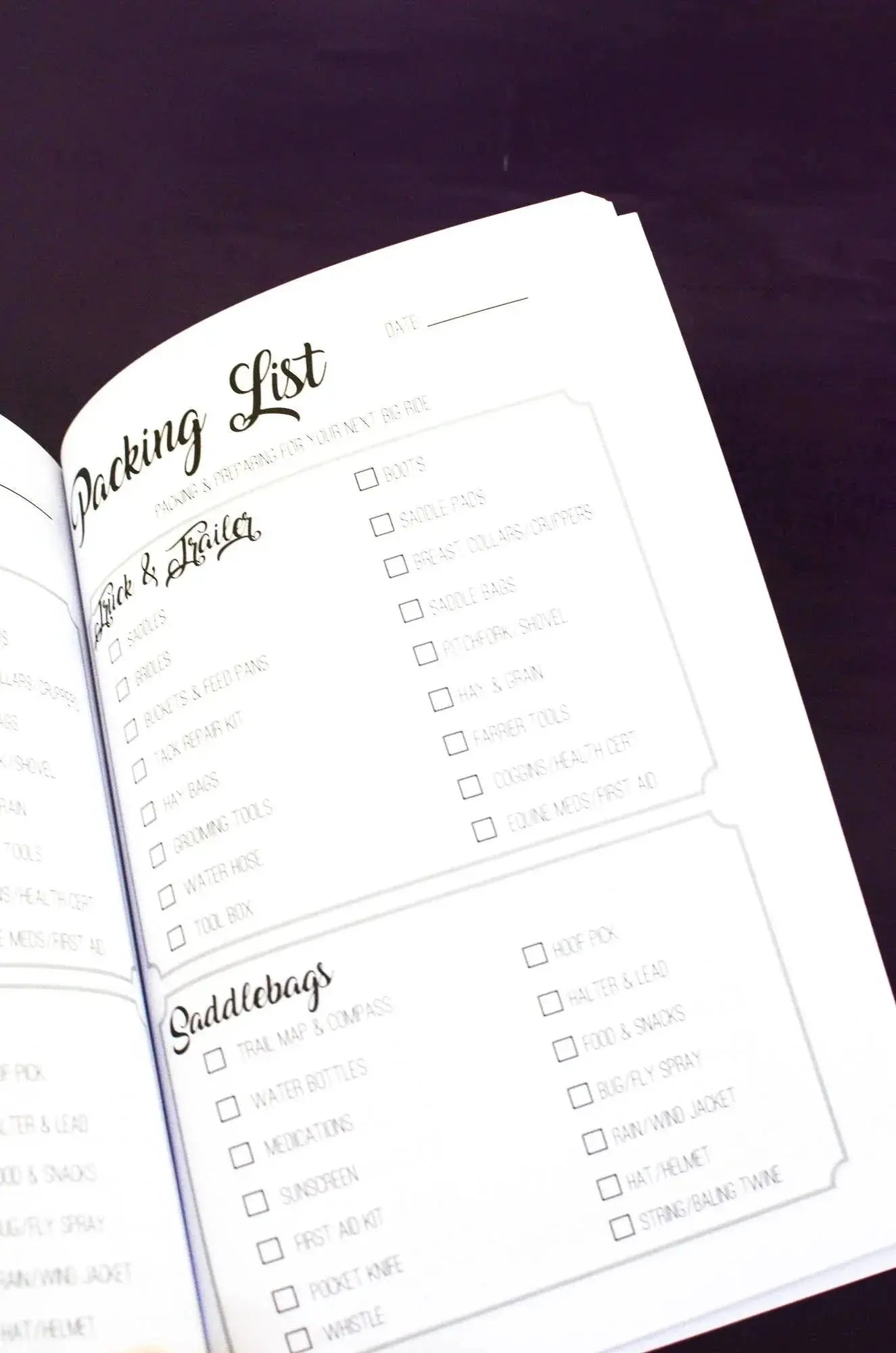 The Trail Rider's Journal Horse