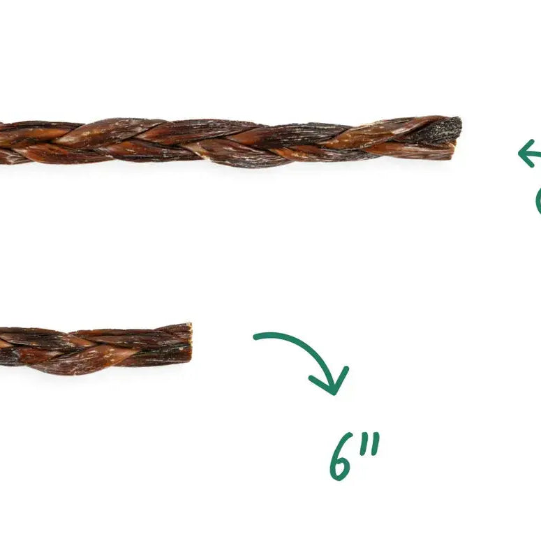 12" Braided Gullet Sticks Dog Treats