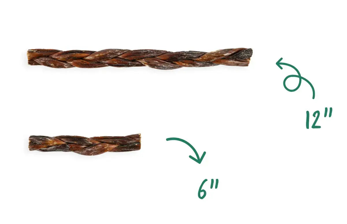 12" Braided Gullet Sticks Dog Treats