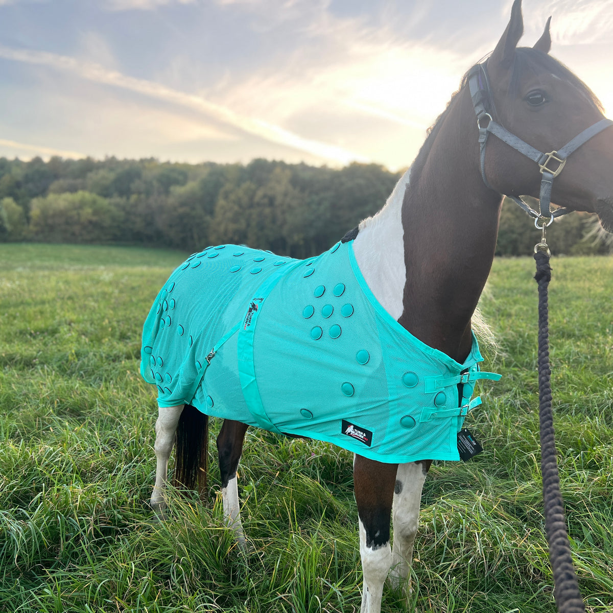 Turn and Burn Pro Turquoise
