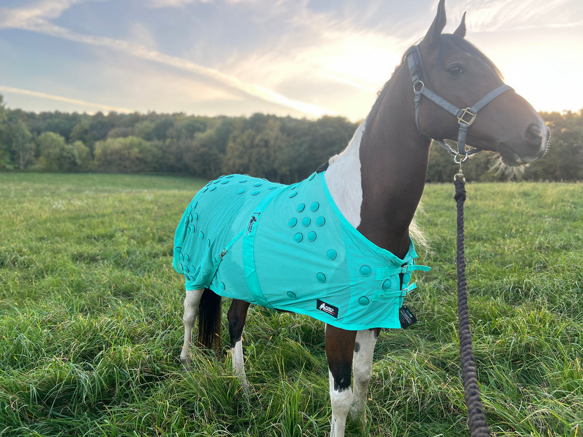 Turn and Burn Pro Turquoise