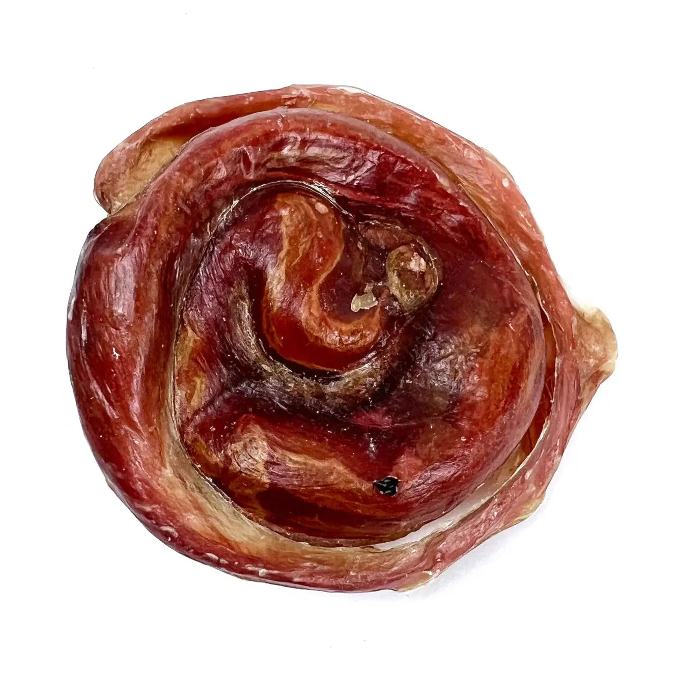 Bully Caps spiraled glossy reddish-brown dried meat treat with textured surface