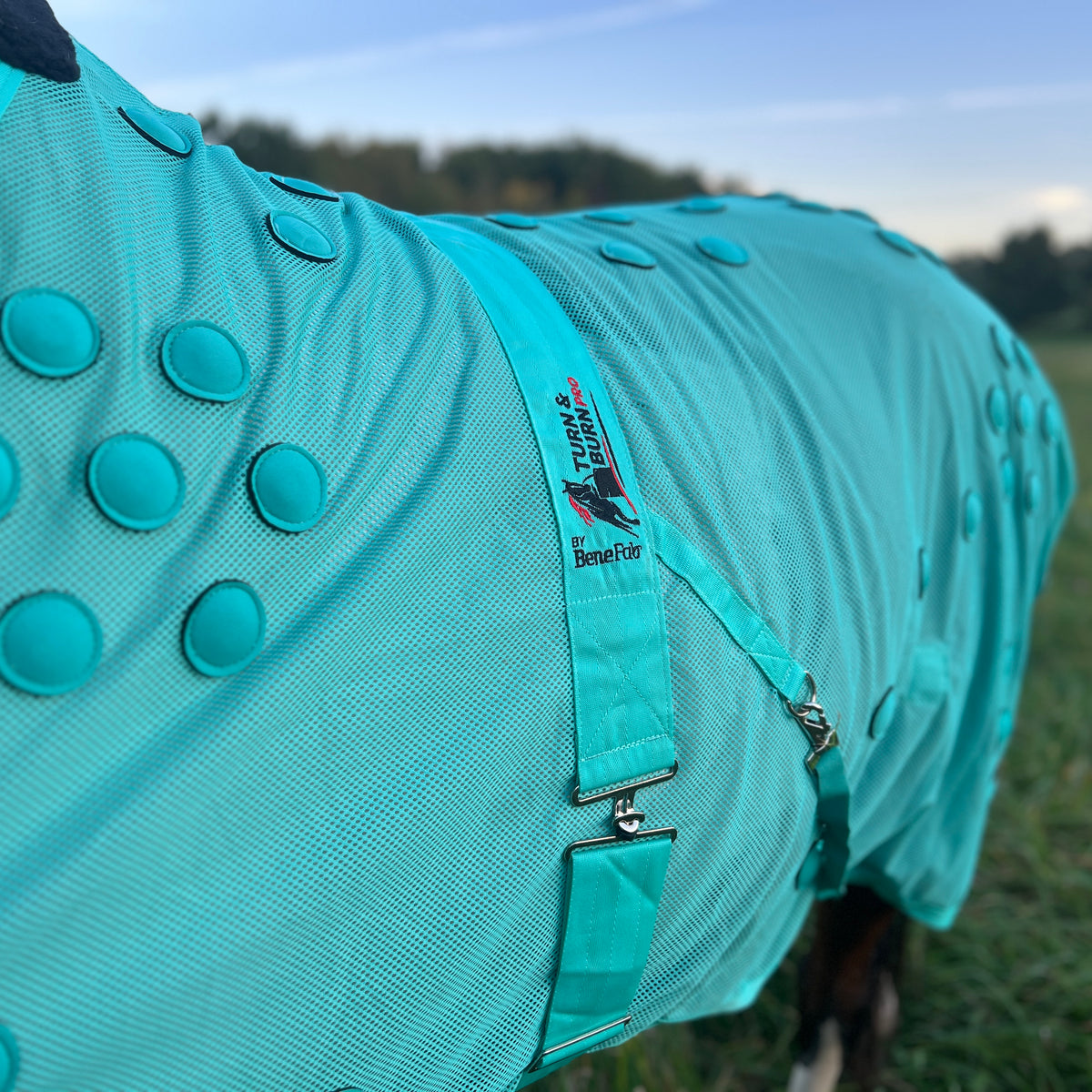 Turn and Burn Pro Turquoise