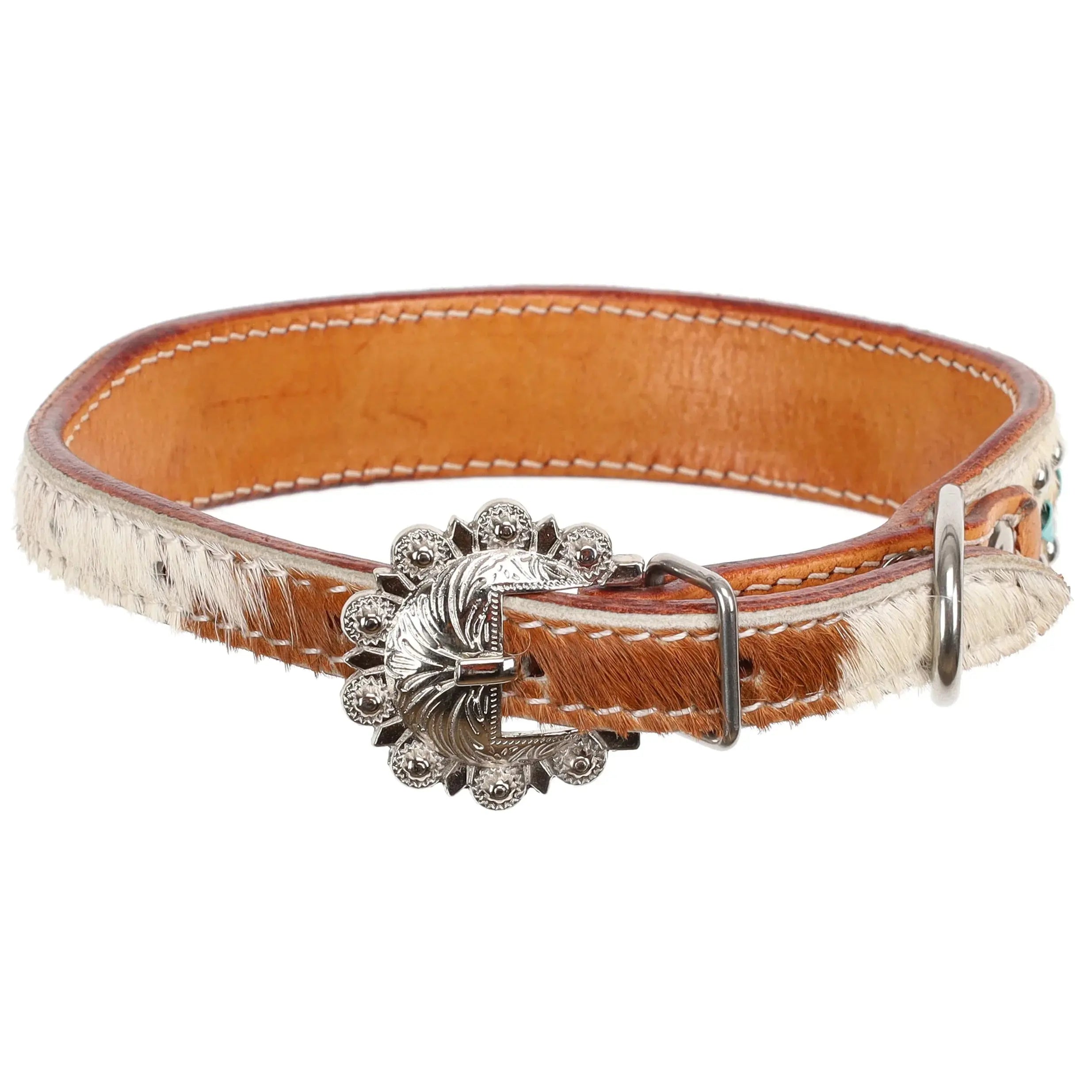 Rawhide Royale Dog Collar Dog