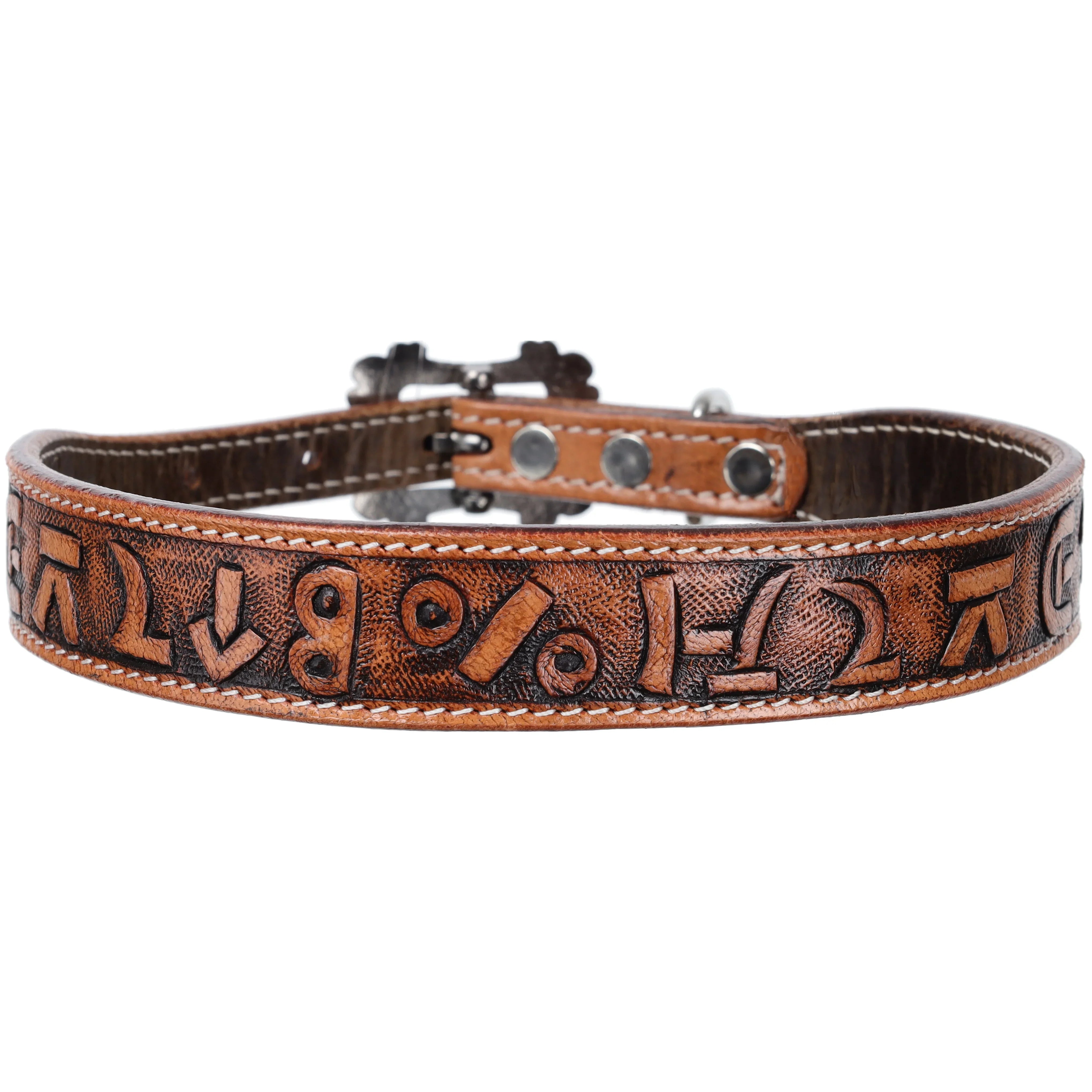 Brandin' Pen Leather Dog Collar Dog