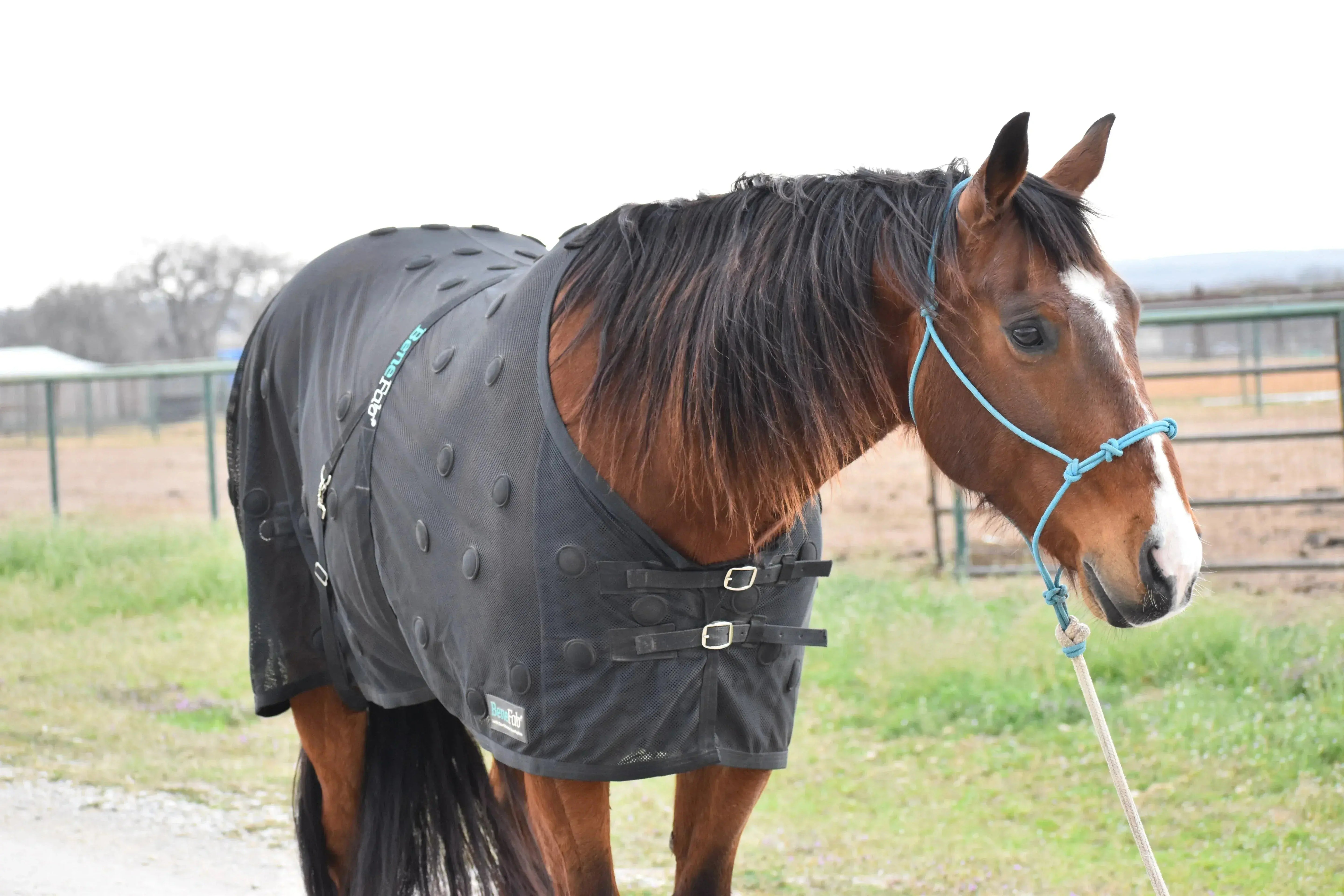 Black Aquasense horse blanket with sensors and straps, BeneFab Rejuvenate SmartScrim MINI