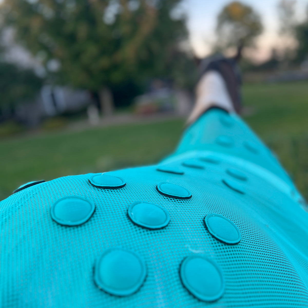 Turn and Burn Pro Turquoise