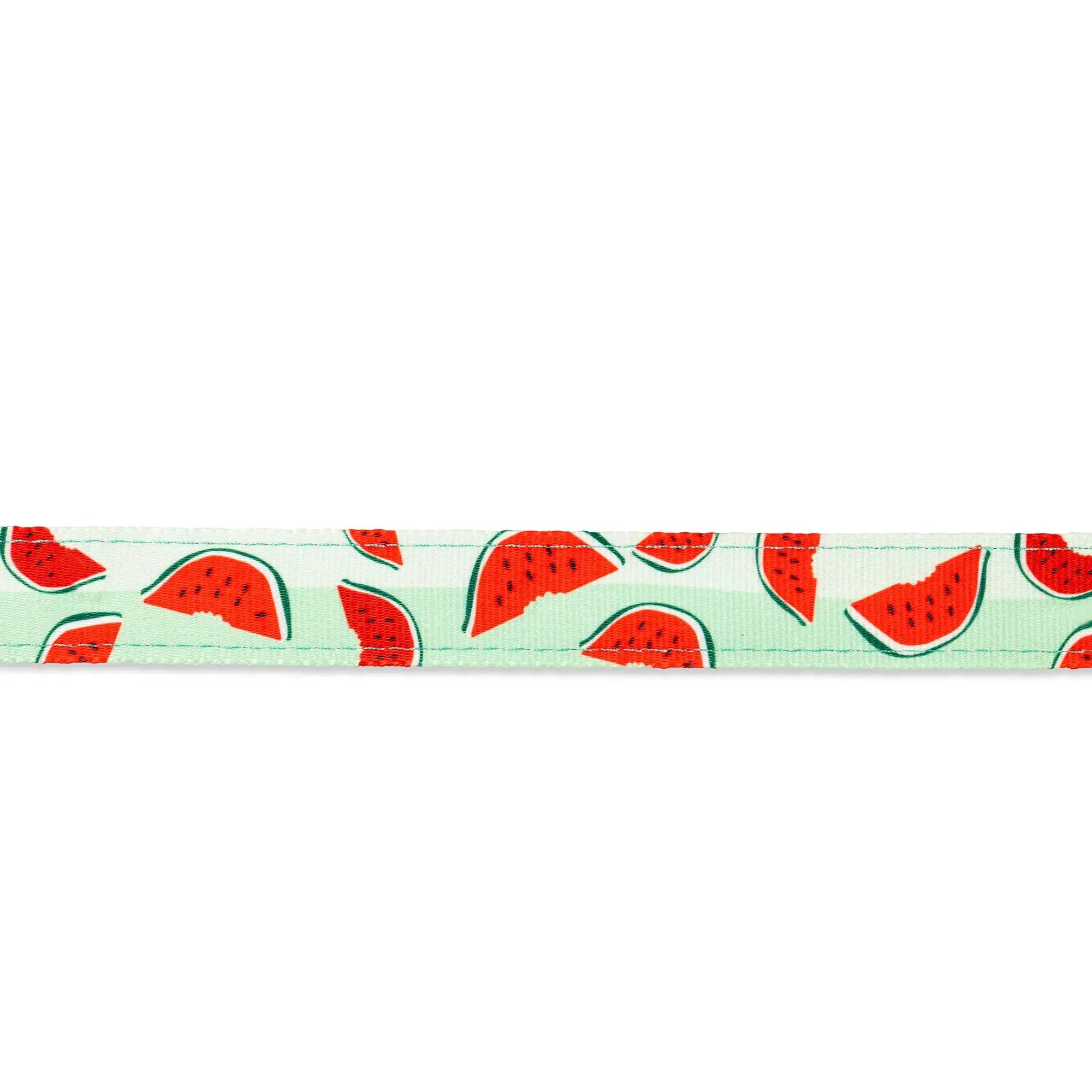 Max and Molly Watermelon Harness Size Large