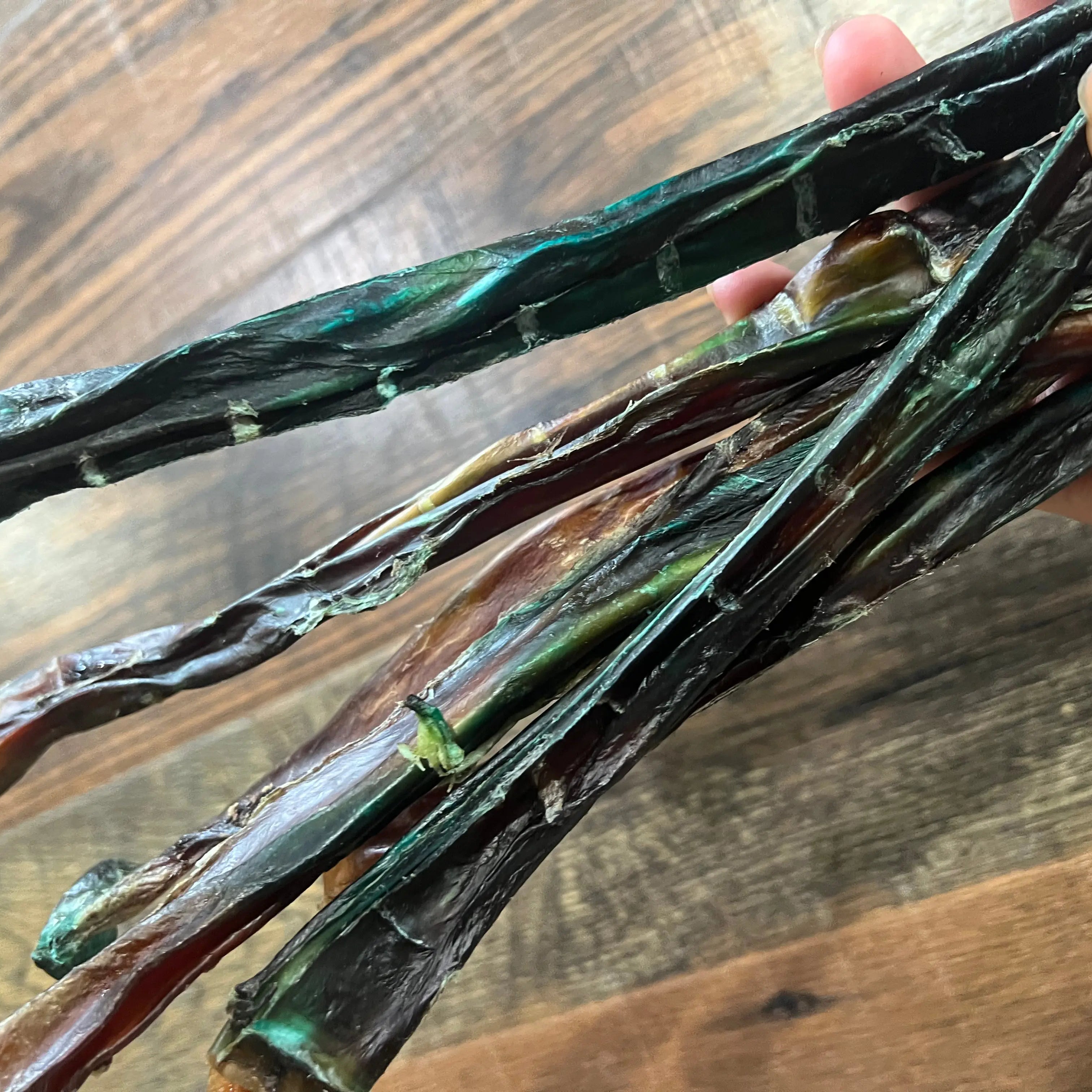 Hand holding imperfect color bully sticks, odor free, USA made 10-20 inches