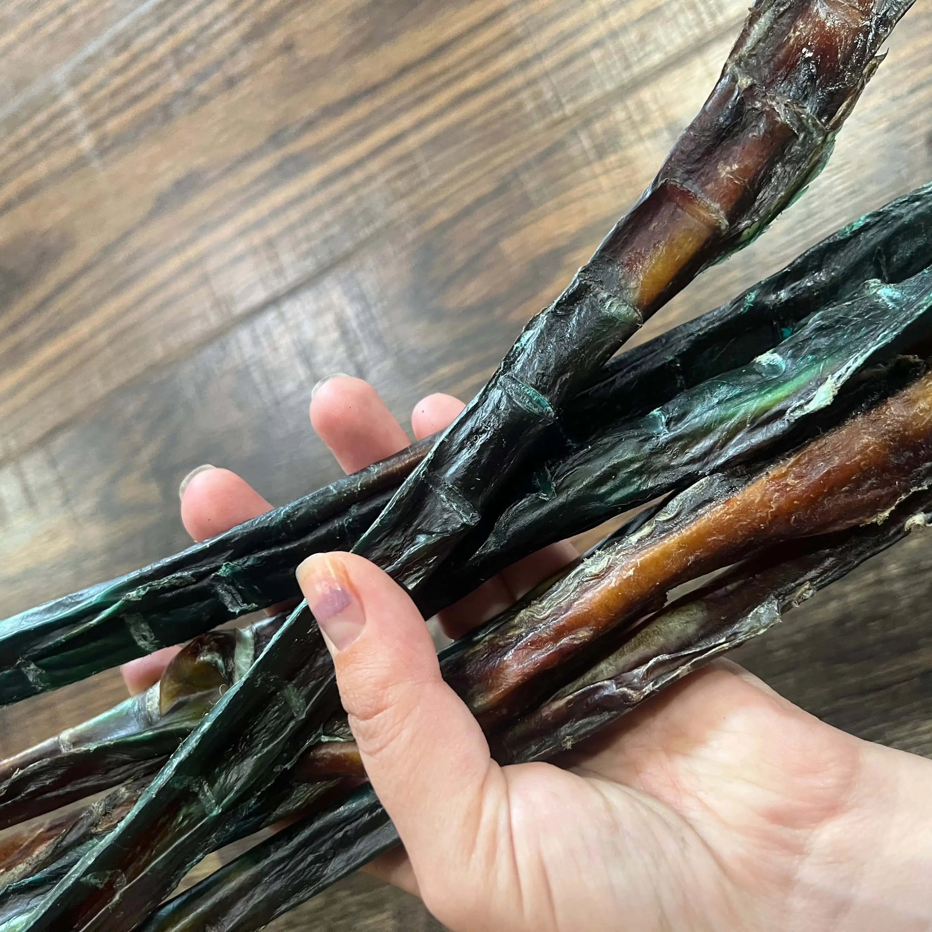 Dark glossy bully sticks, imperfect color, odor free, USA made 10-20 inches