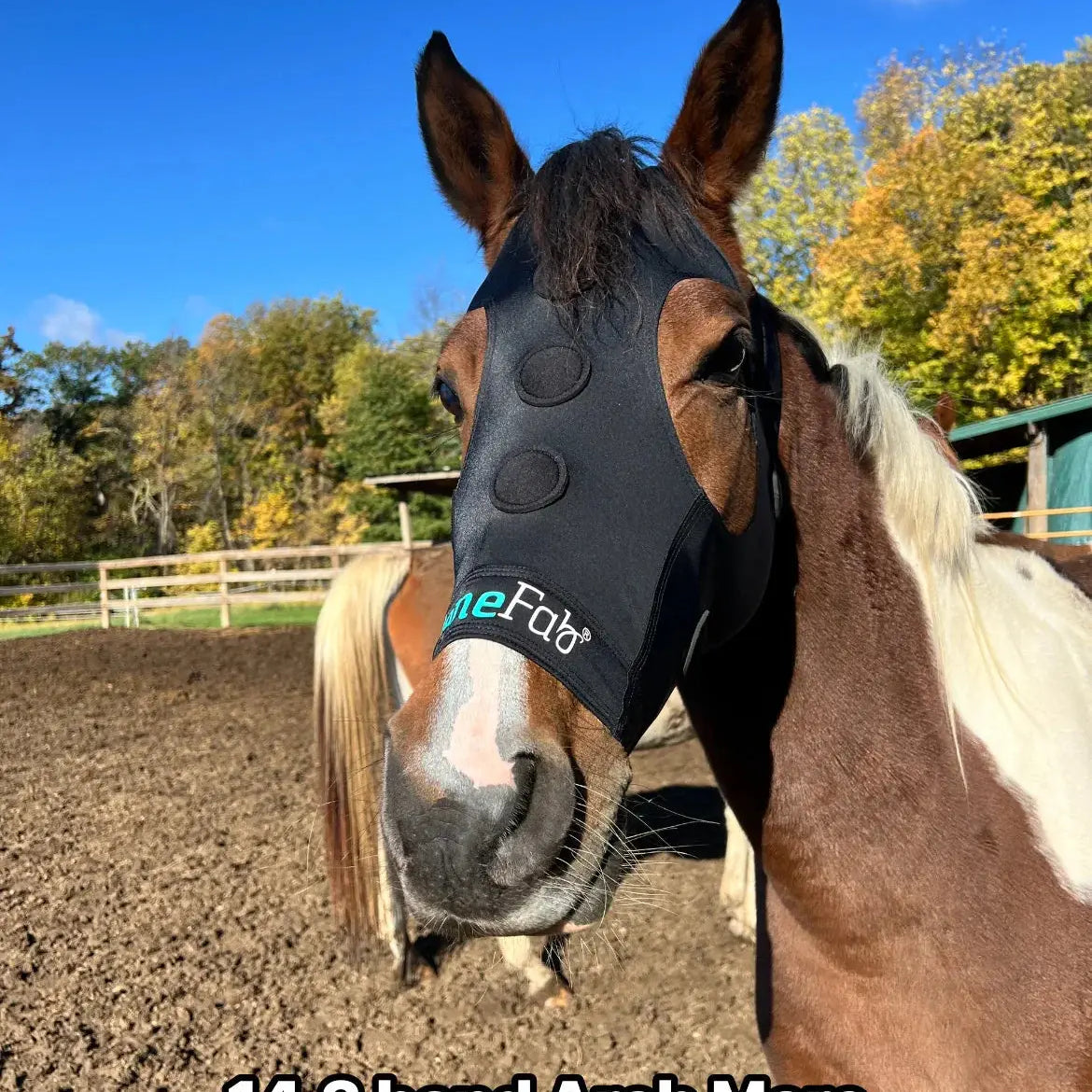 BeneFab Rejuvenate SmartMask