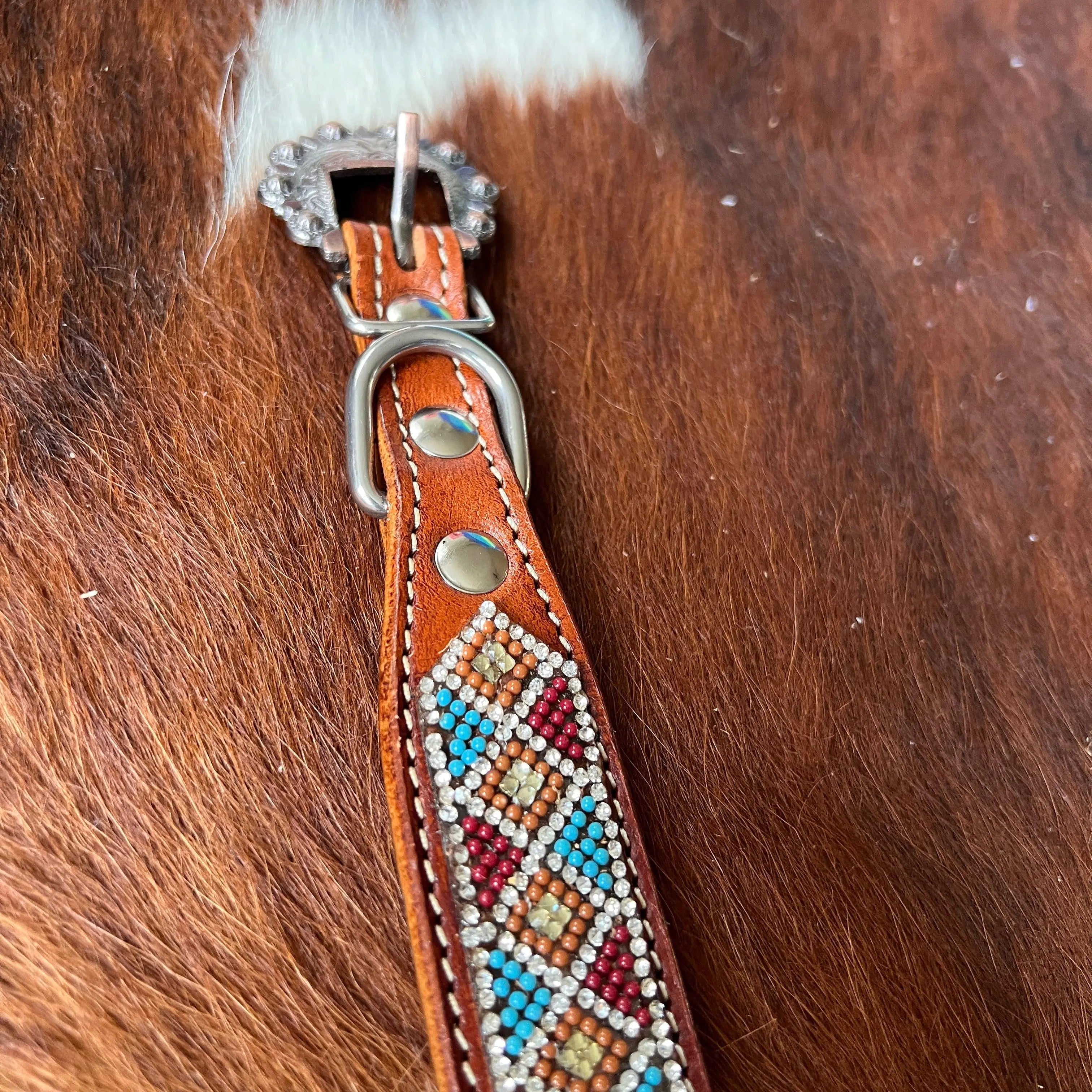 Crystal Rhinestone Collar -Maroon & Blue Dog