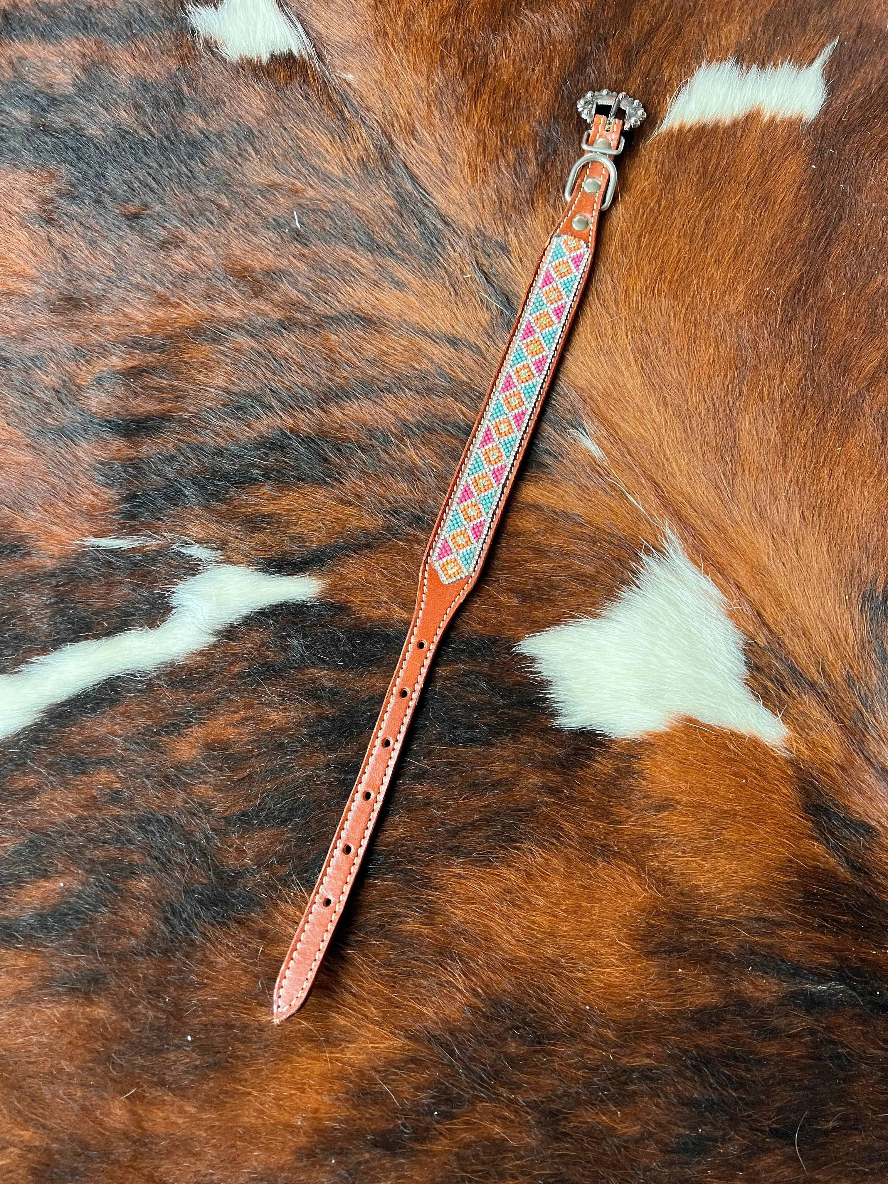 Crystal Rhinestone Collar -Pink & Blue Dog
