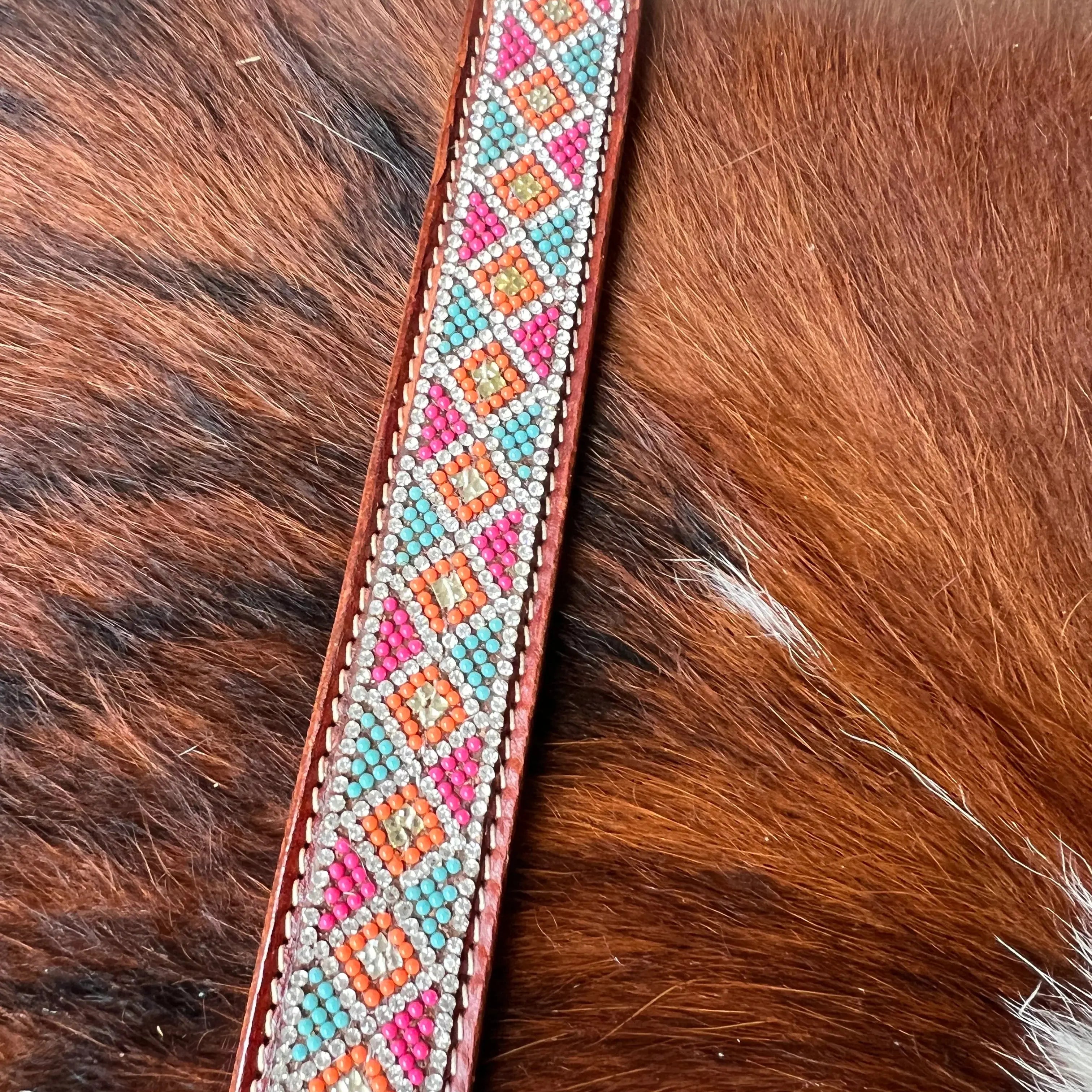 Crystal Rhinestone Collar -Pink & Blue Dog