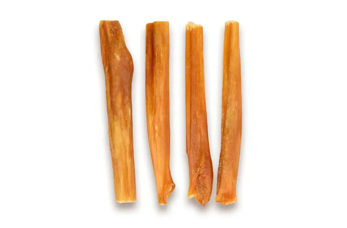 6" Low Odor Beef Bladder Sticks Dog