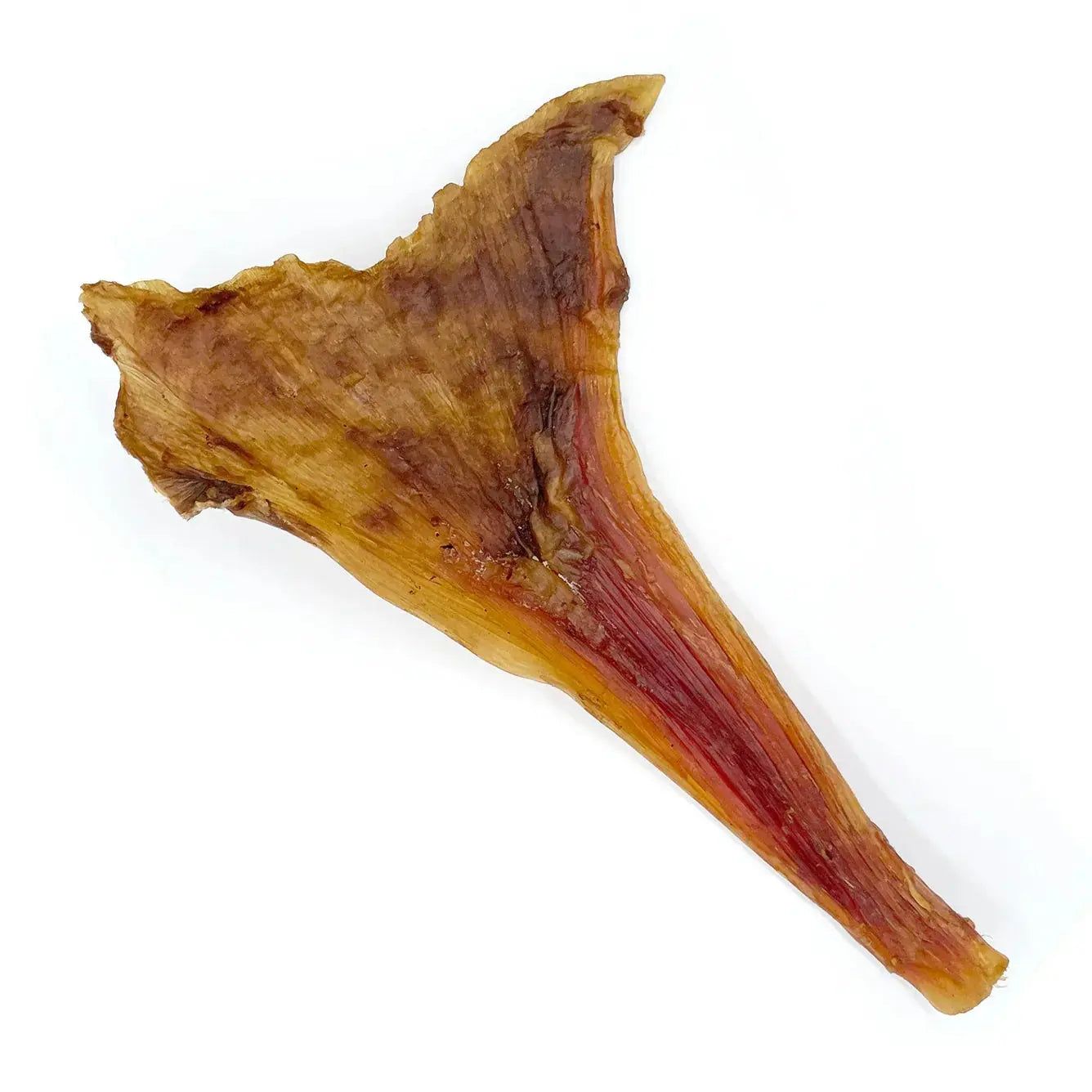 OSTRICH LONG TENDONS - 4 OZ