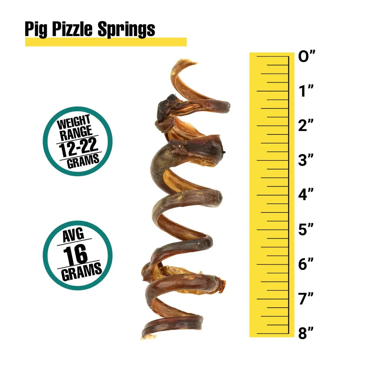 Pig Pizzle Springs Dog