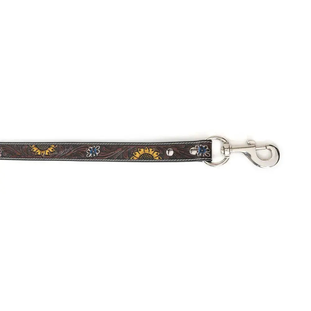 Scenic Sunflower Leash Dog