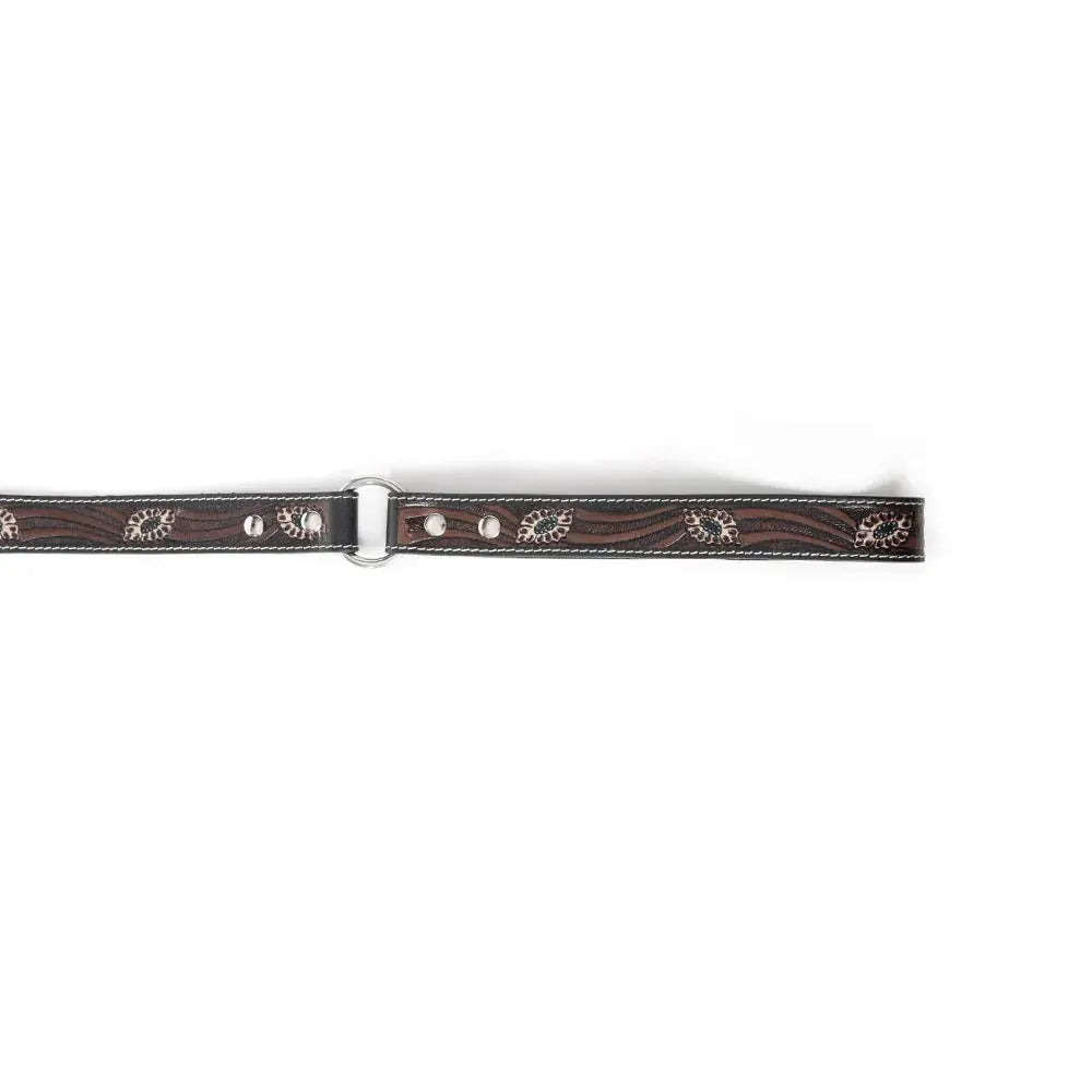 Luna Beam Dog Leash In Dark Brown Dog