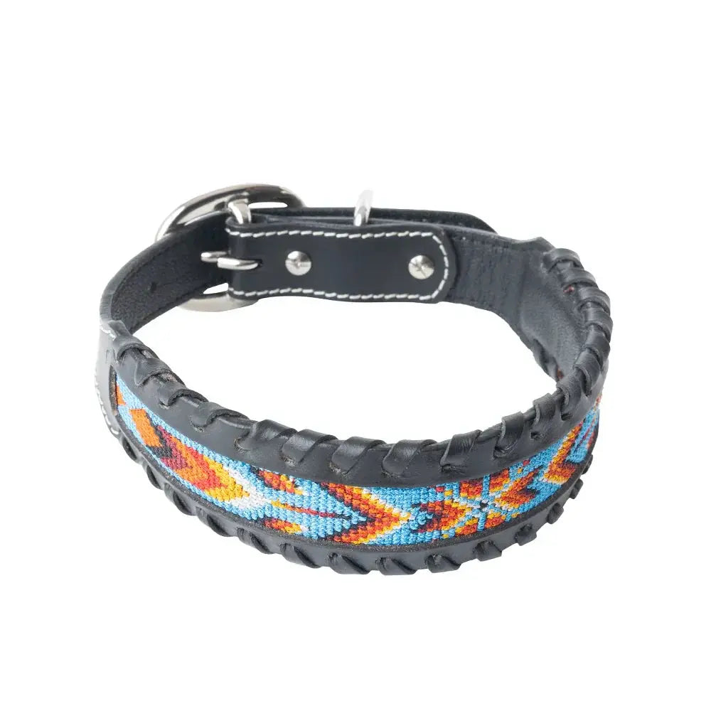 Running Wind Dog Collar In Black Dog