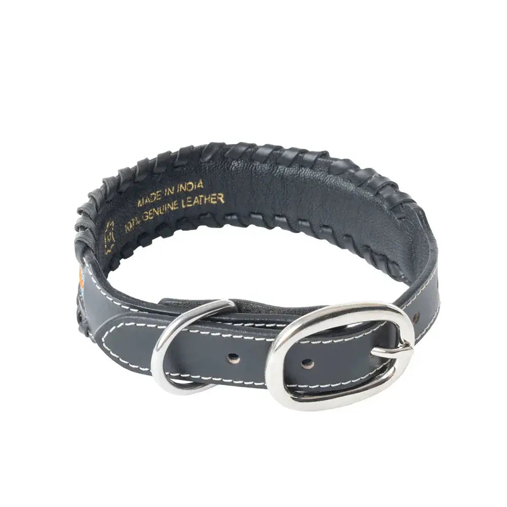 Running Wind Dog Collar In Black Dog