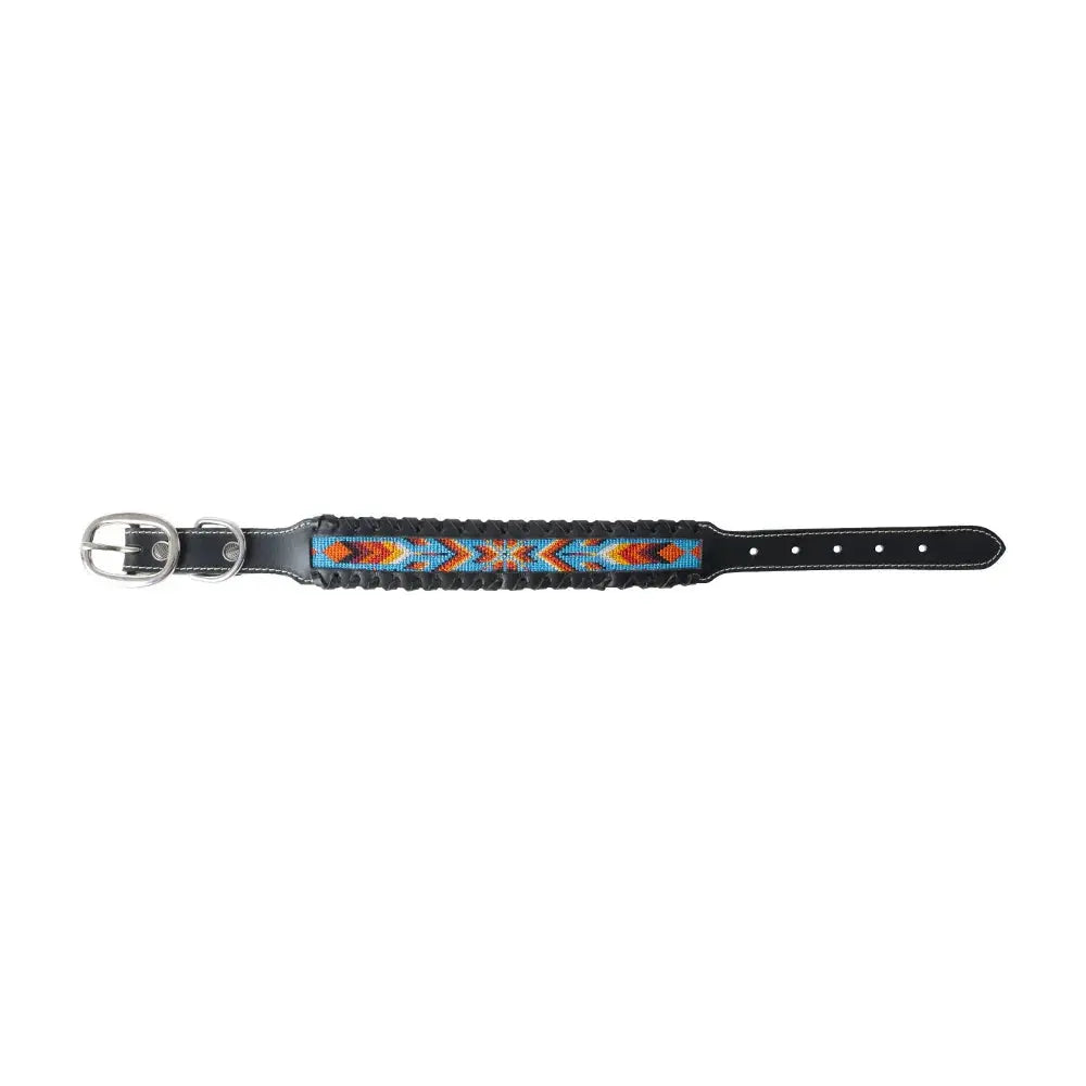 Running Wind Dog Collar In Black Dog