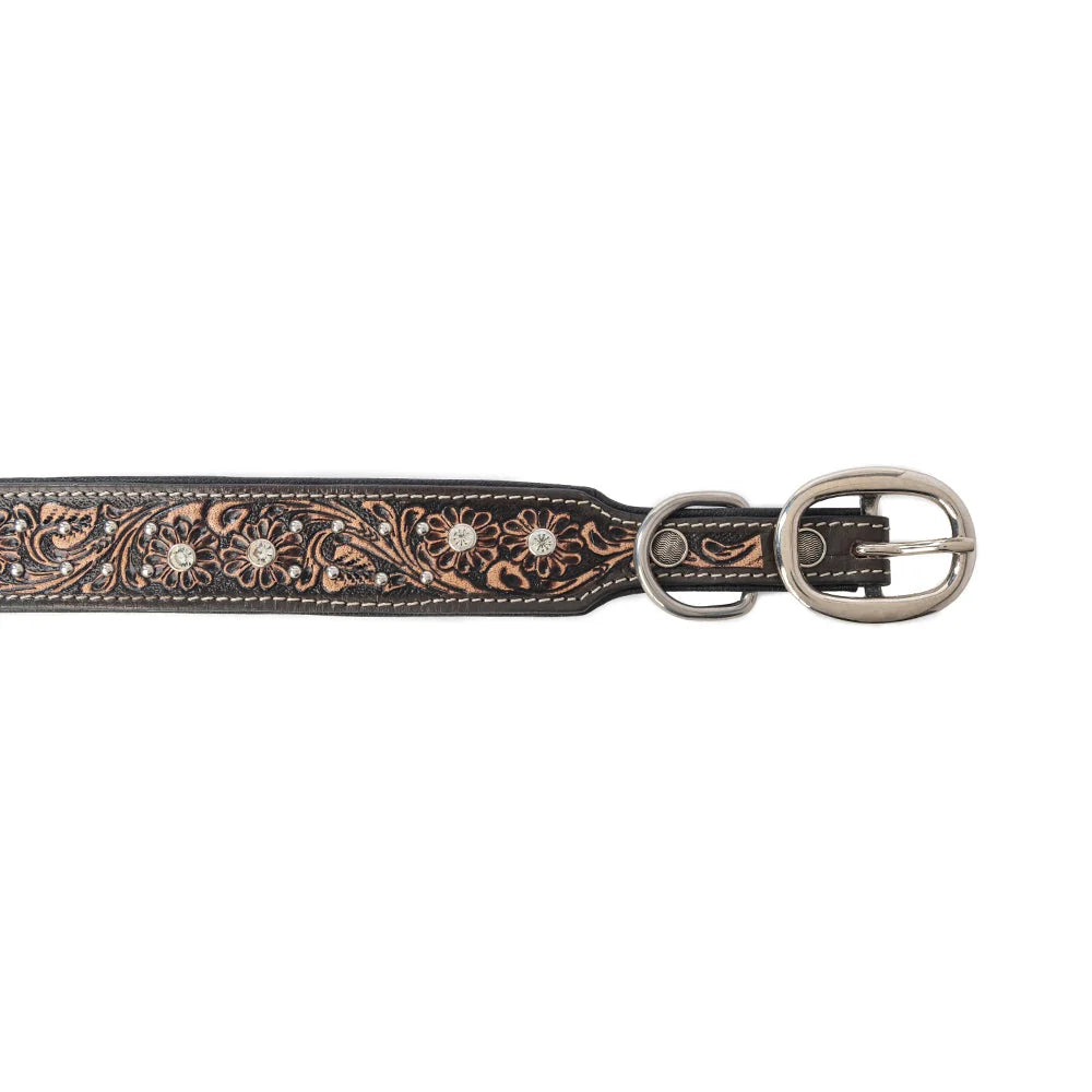 Midnight Canine Elegance Western Dog Collar In Black